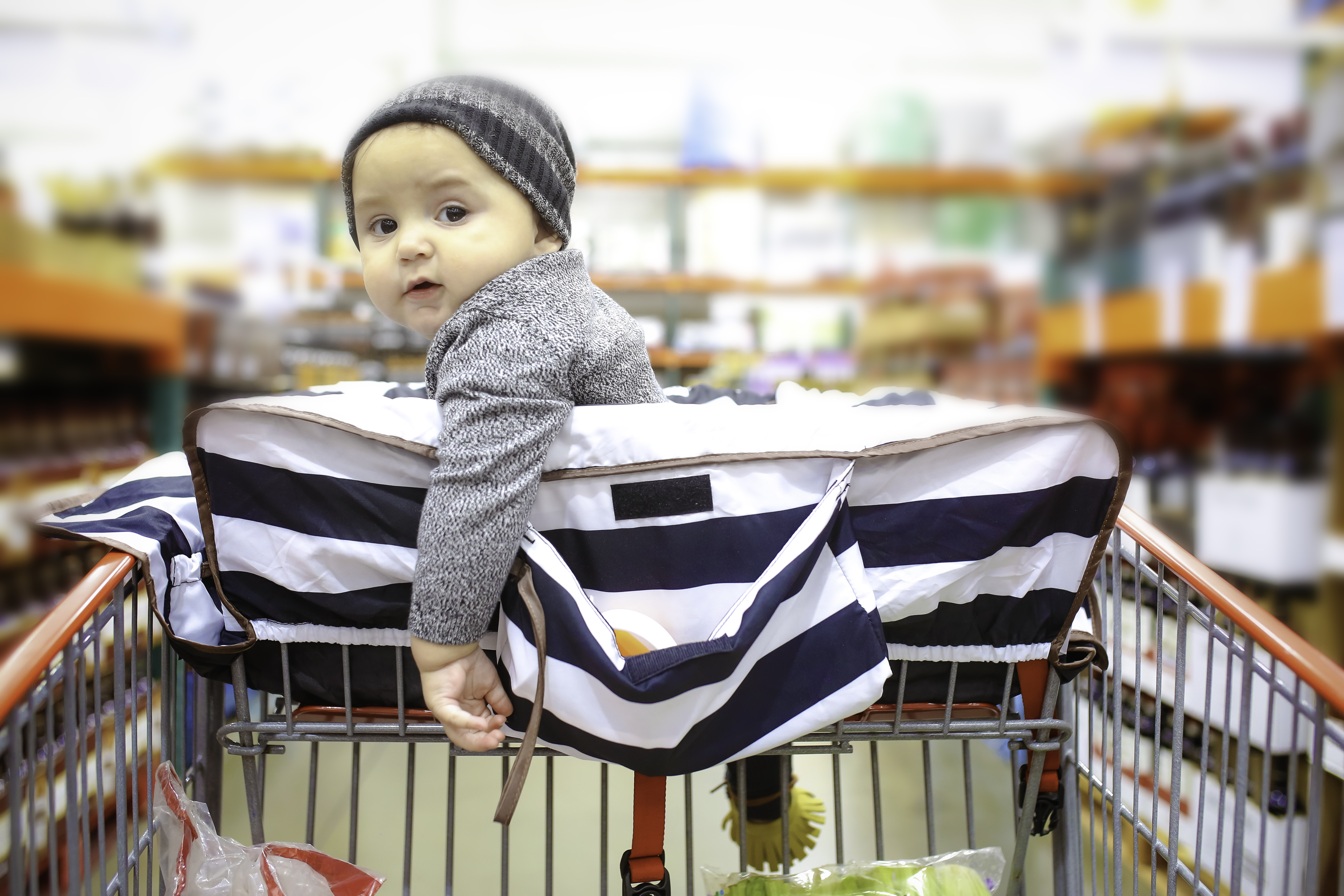 lumiere shopping cart cover